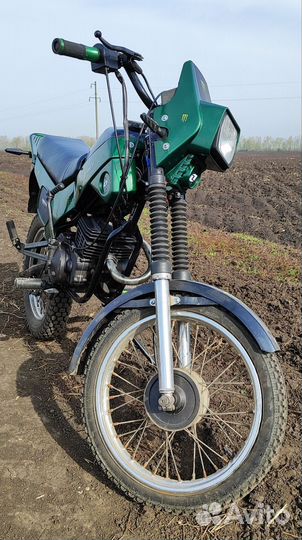 Зид Пилот 50