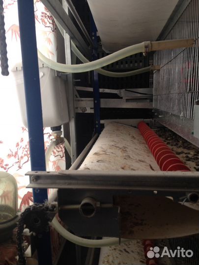 Клеточная батарея кб-1600Мдля бройлеров, несушек