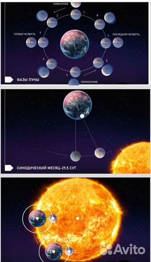 Презентации
