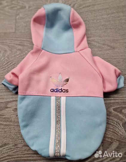 Одежда для собак