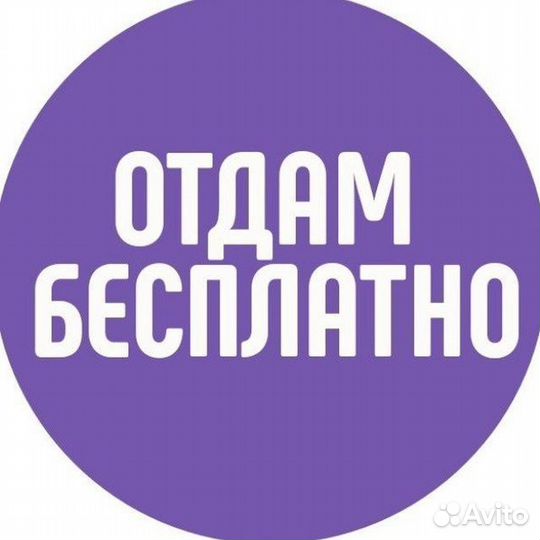 Отдам ООО с НДС