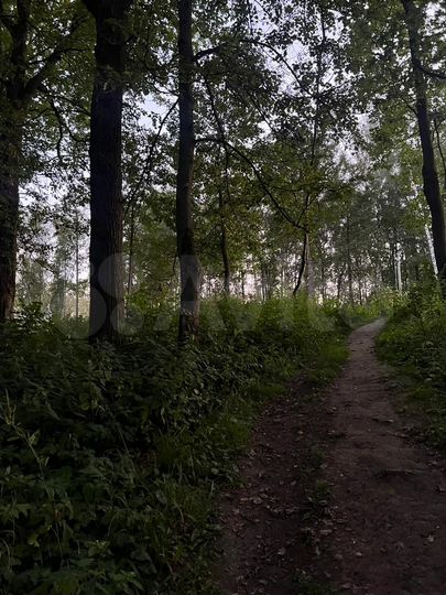 Участок 24,9 сот. (ИЖС)