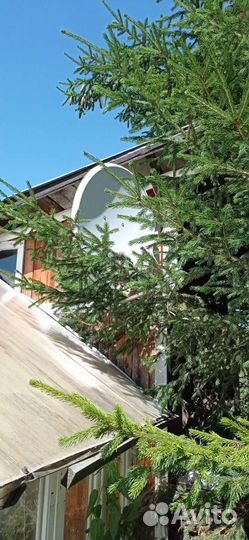 Спутниковый ресивер триколор