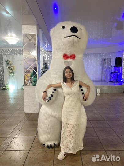 Белый мишка поздравление ростовой медведь аниматор