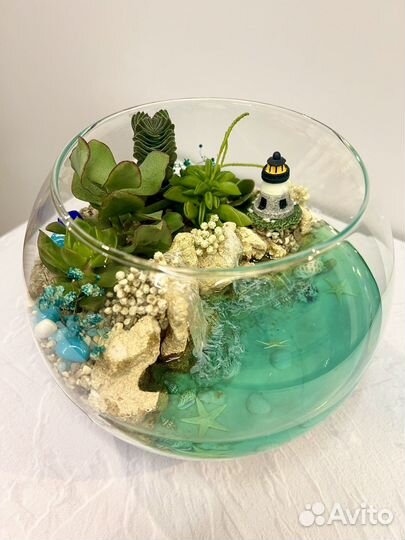 Флорариум с суккулентами Подарок