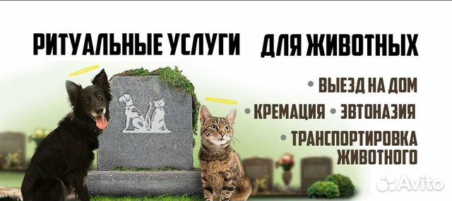 урны для праха домашние животные. ветеринарная клиника лого. люберецкий крематорий для животных. кремация животных выезд дом. кремация животных выезд дом.