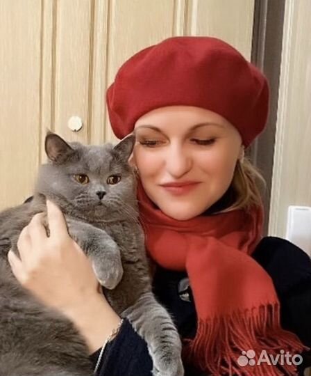 Репетитор английского языка