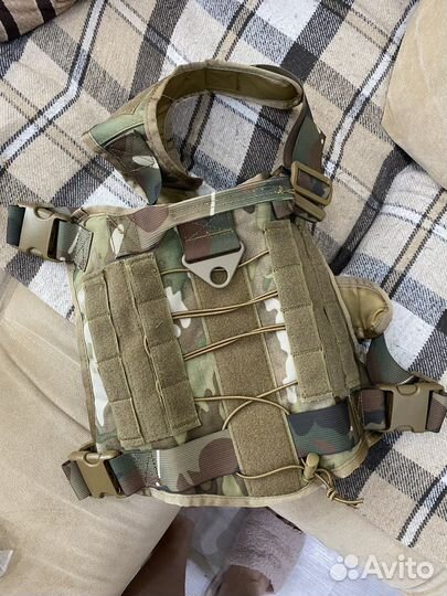 Одежда для собаки