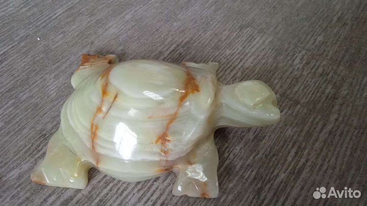 Лечебная черепаха