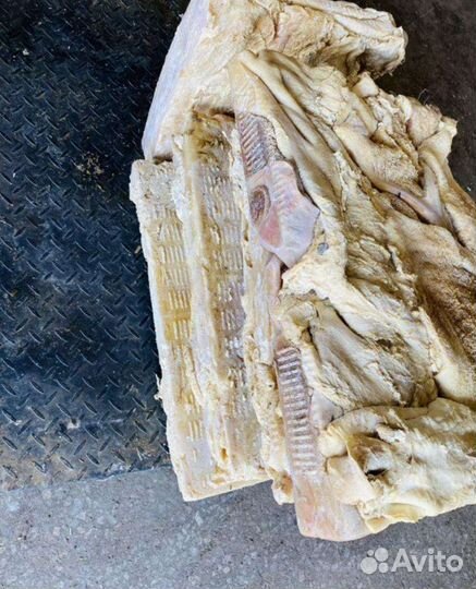 Рубец говяжий очищенный