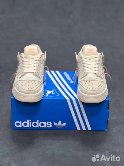 Adidas Forum 84 Low Off-White