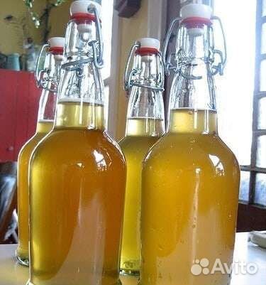 Винный гриб