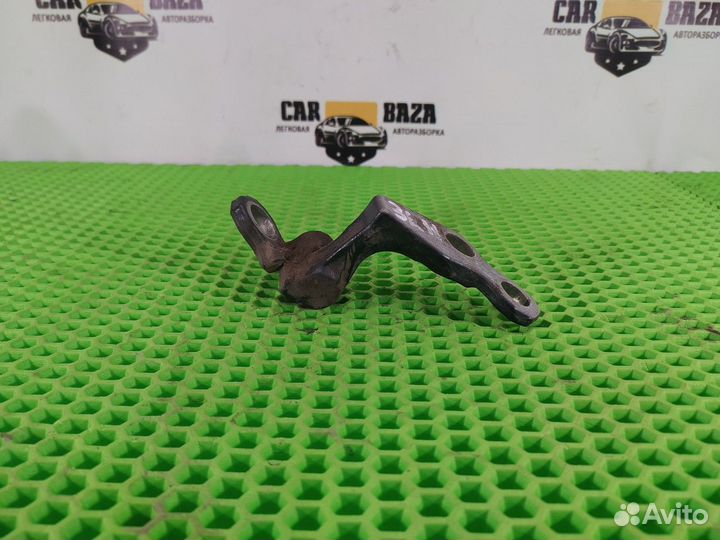 Петля двери задней левой нижняя L