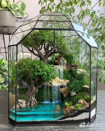 Флорариум вместо букета цветов