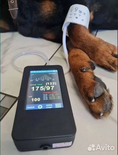 Ветеринарный врач на дом / Выезд / Кастрация