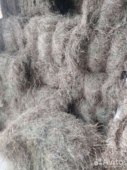 Сено Солома Тюки Доставка Сено на Корм