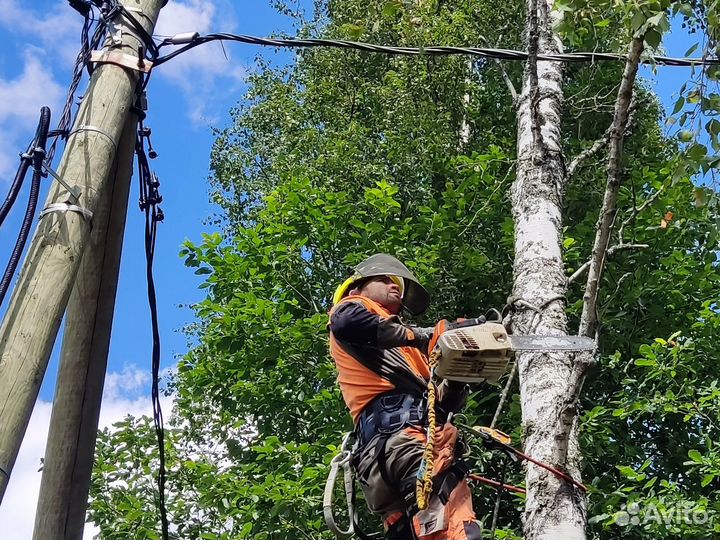 Спил деревьев на участке и расчистка участка от де
