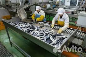 Обработчик рыбы