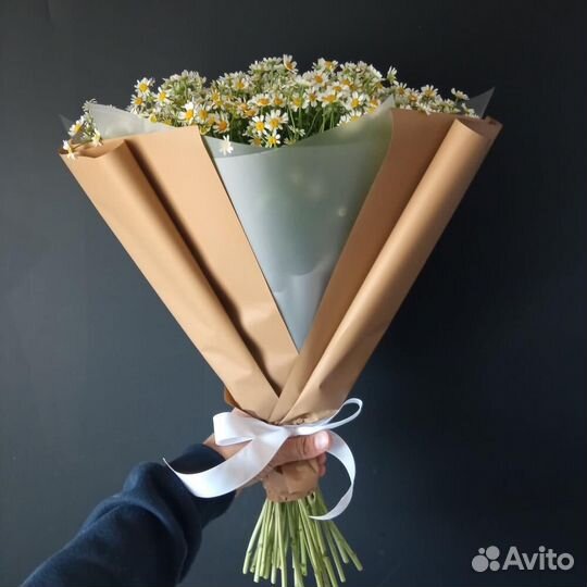 Цветы ромашки