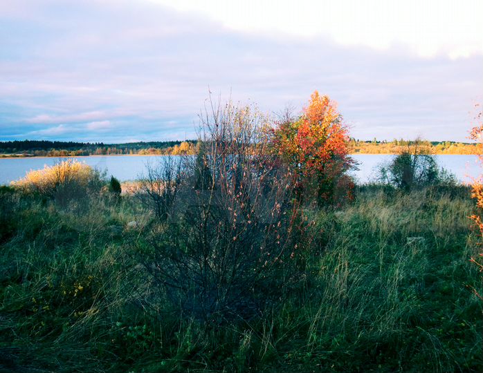 Участок 100 сот. (ИЖС)