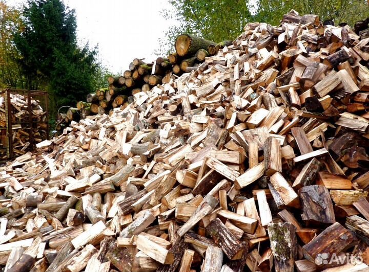 Дрова в ло