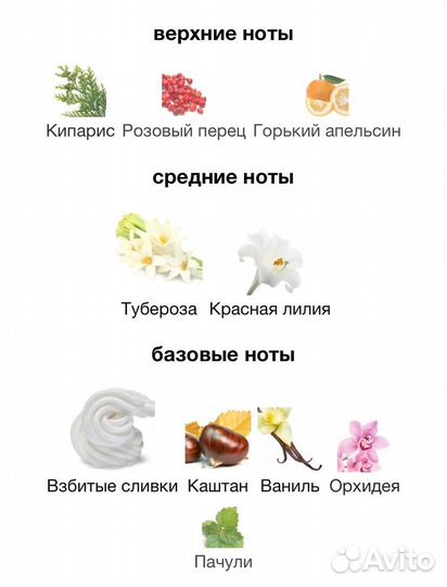 Tom Ford orchid Soleil