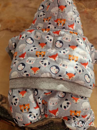 Одежда для маленьких пород собак