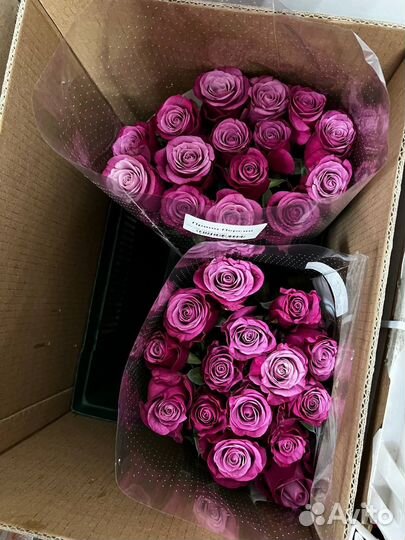 Цветы оптом - розы оптом