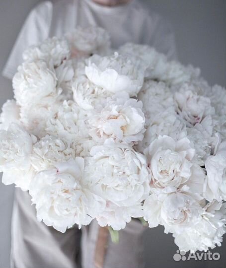 Букет пионов с беспл. доставкой