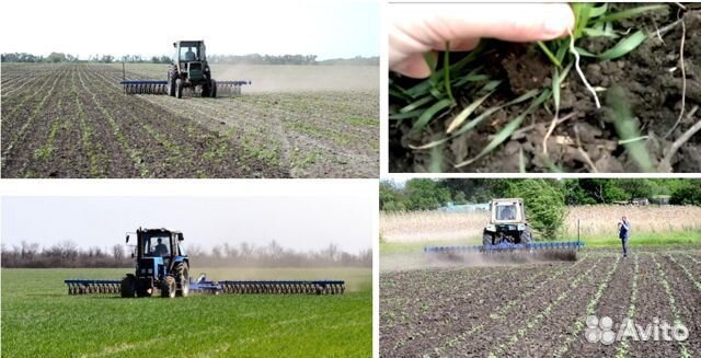 Борона Rubarz БМР-8,7, 2022