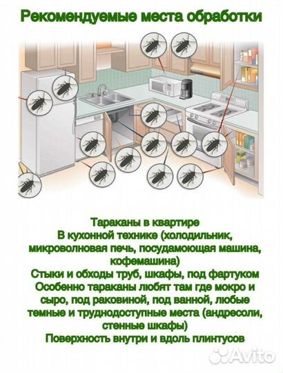 Уничтожение клопов тараканов насекомых