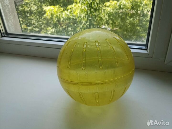 Шар для грызунов