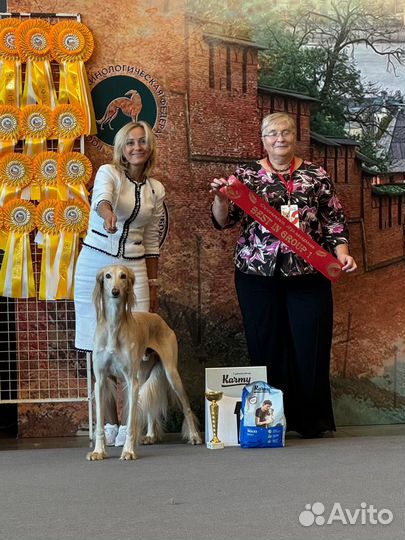 Услуги хендлера