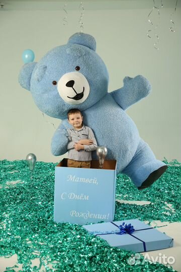 Аниматор ростовая кукла мишка Василек