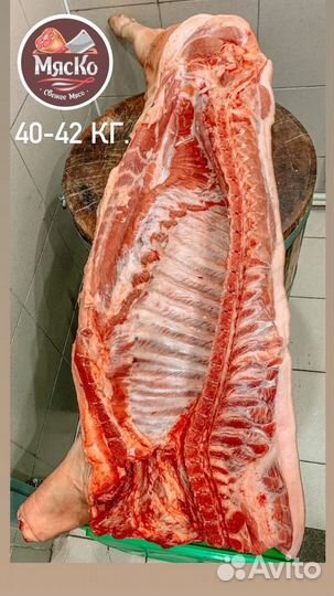 Свинина полутуша/четверть Свежее мясо