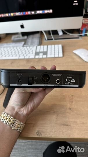 Shure BLX14E/P31 M17 Радиосистема головная