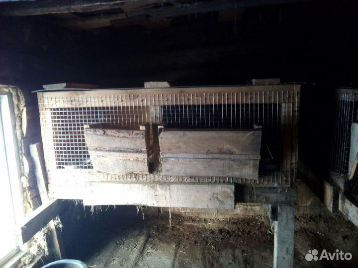 Клетки для животных