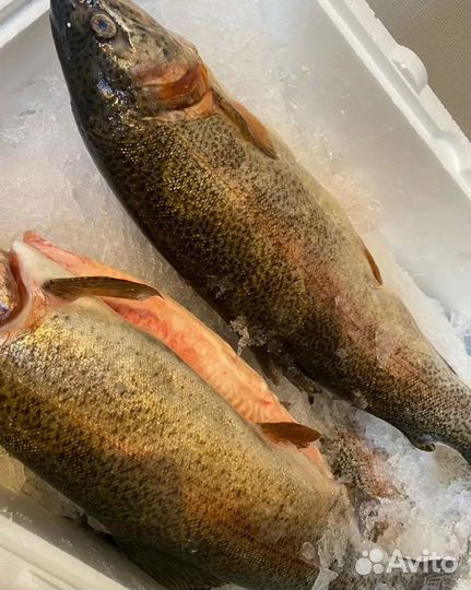 Рыба из Армении Сиг холодного копчения И вяленый