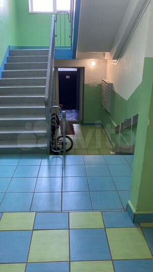 1-к. квартира, 55,6 м², 1/4 эт.