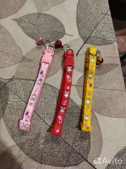 Ошейник, шлейка