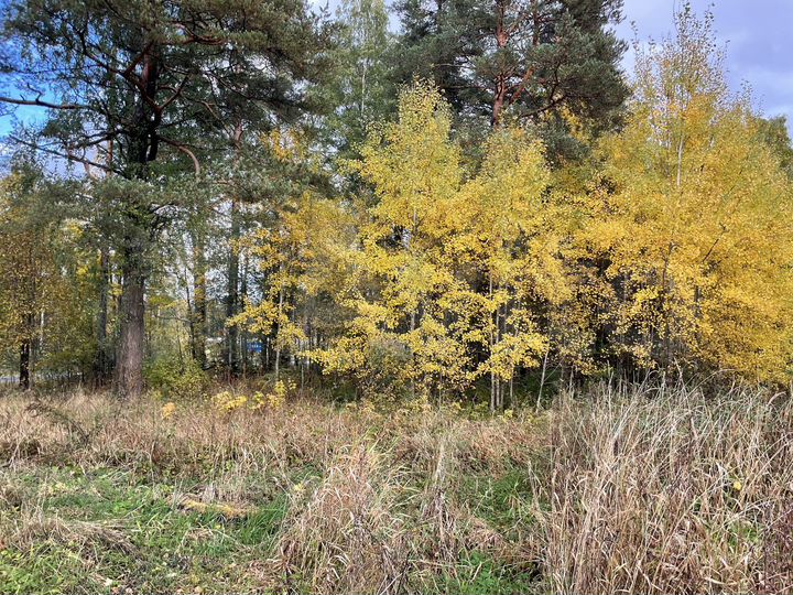 Участок 30 сот. (ИЖС)