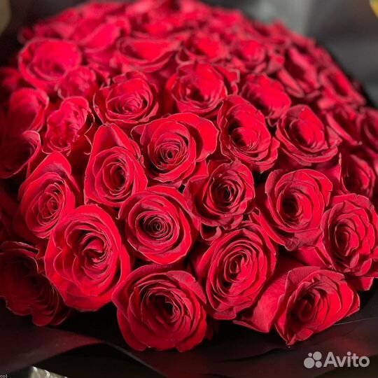 Розы красные. Букет из роз. Розы белые.51.35.25.1