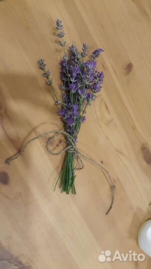 Лаванда букетик