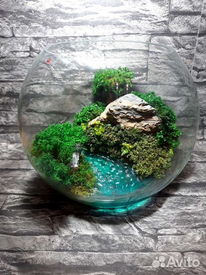 Флорариум/моссариум. Сад в стекле