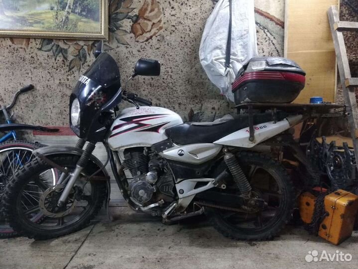 Мото xinling cxm125b cobra