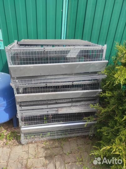 Клетки для перепелов и кур несушек