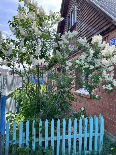 Дача 50 м² на участке 10 сот.