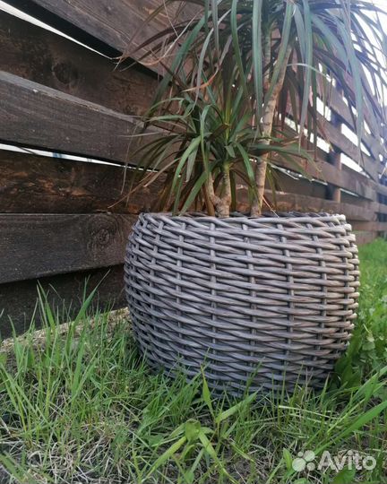 Кашпо для цветов