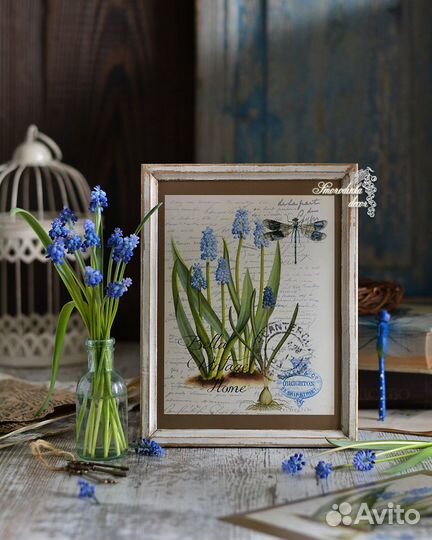 Иллюстрация ботаническая Мускари