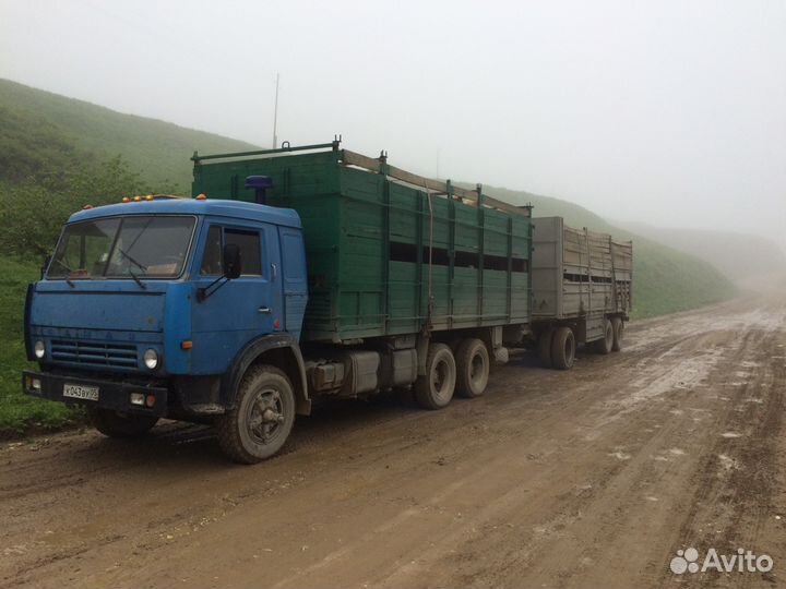 Скотовоз. Перевозка крупнорогатого и мелкорогатого